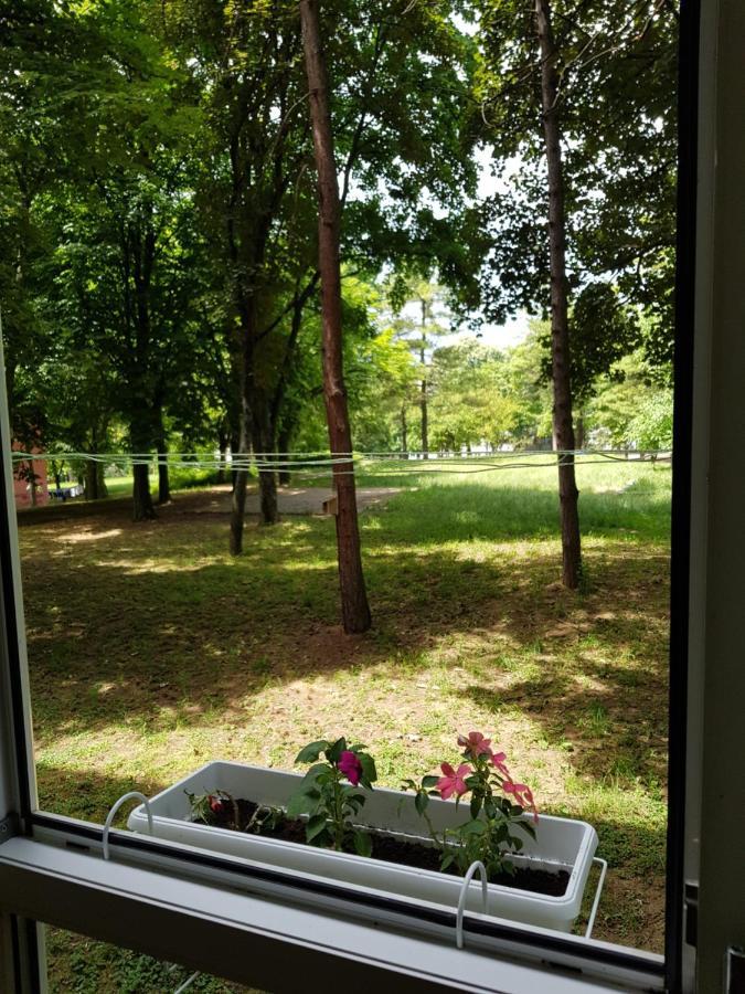Ferienwohnung Apartman Park, TC Stadion Vozdovac Belgrad Exterior foto